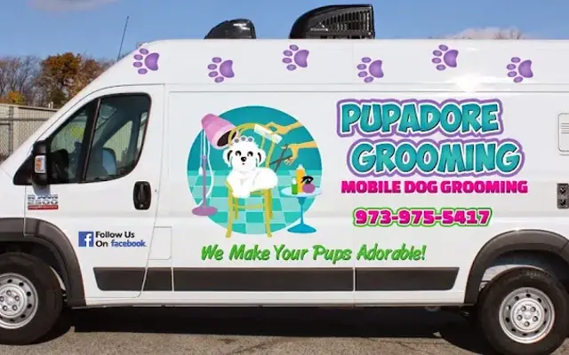 Pupadore Grooming in Randolph, NJ
