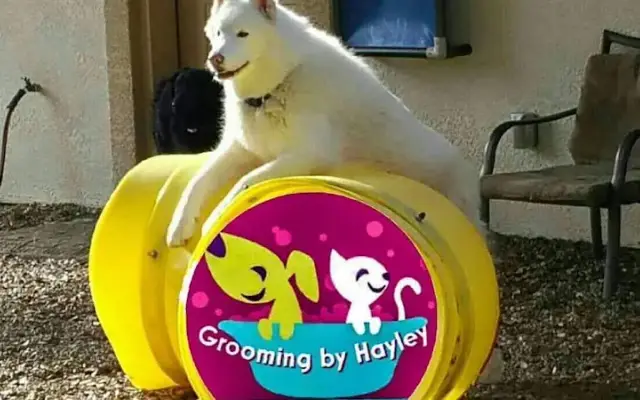 Hayley's Pro Grooming in Roseville, CA