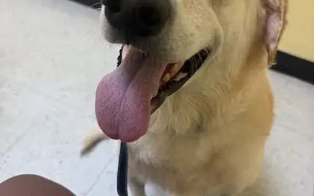 Fairleigh Pet Center in Louisville, KY