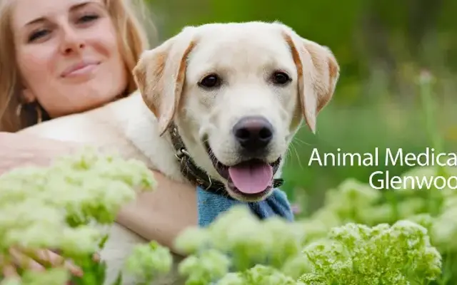Animal Medical Hospital at Glenwood in Glenwood, MD