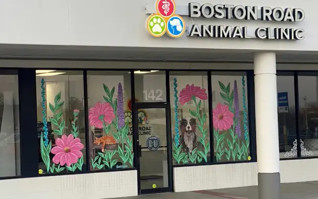 Boston Road Animal Clinic in Lexington, KY