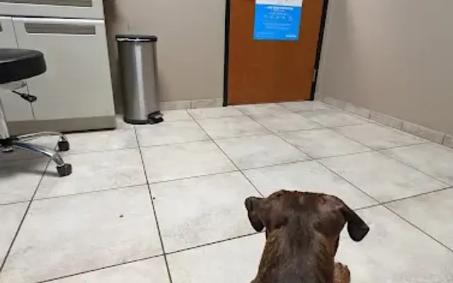 Twin Peaks Veterinary Center in Tucson, AZ