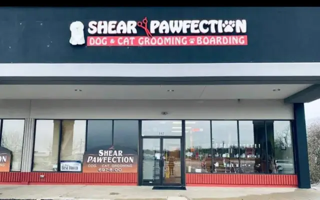 Shear Pawfection in Milford, OH
