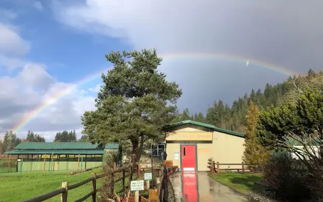Big Valley Pet Resort in Poulsbo, WA