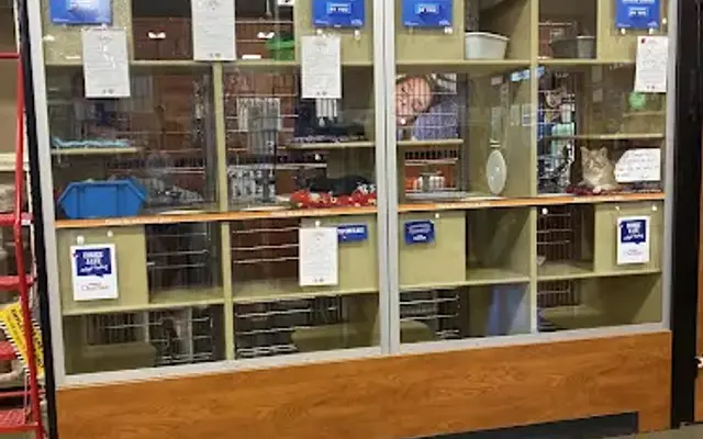 PetSmart in St. George, UT