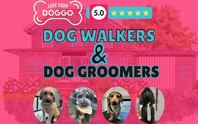 Love Your Doggo in Blacklick, OH