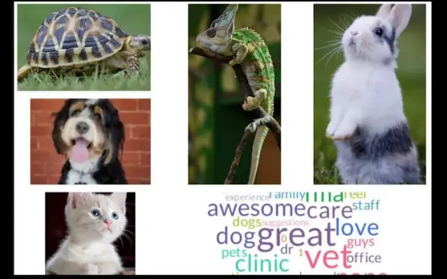 Southgate Animal Hospital in Southgate, MI