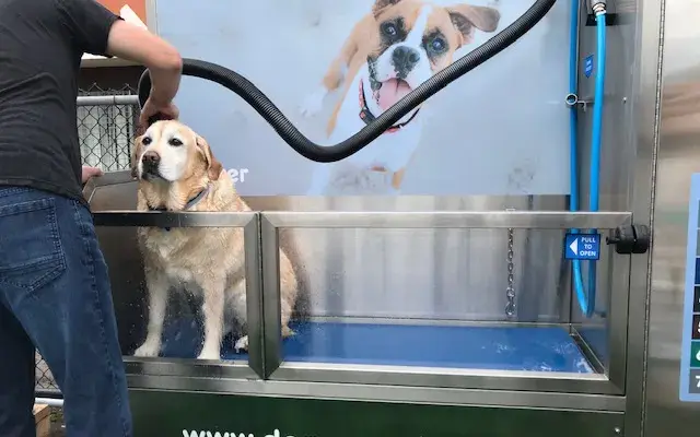 DoggoWash in San Diego, CA