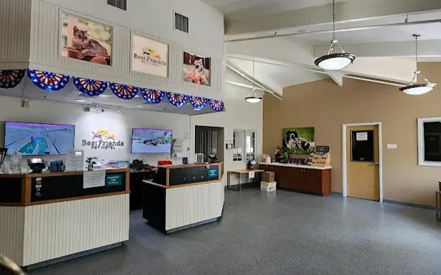 Best Friends Pet Hotel in Sudbury, MA