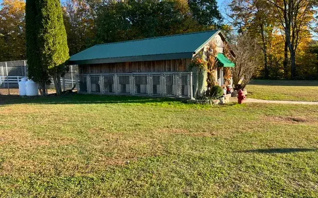 Waggy House - Dog Boarding & Dog Grooming in Argyle, NY