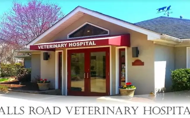 Falls Road Veterinary Hospital, A Thrive Pet Healthcare Partner in Potomac, MD