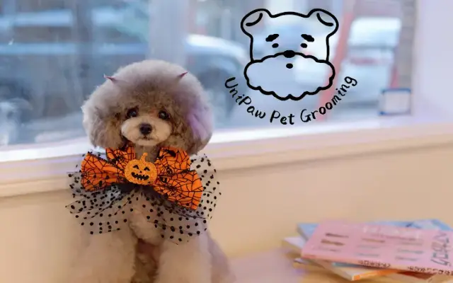 Unipaw Pet Grooming in Temple City, CA