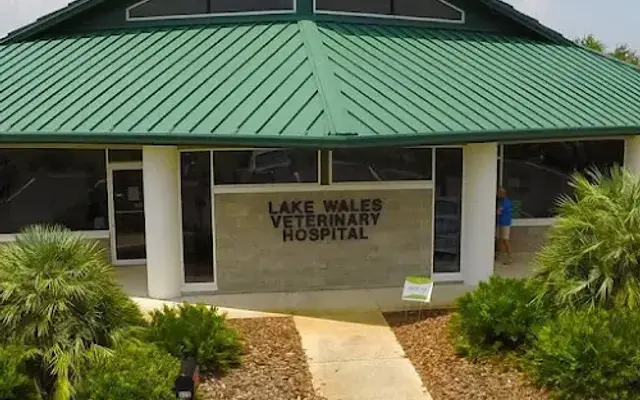 VCA Lake Wales Animal Hospital in Lake Wales, FL