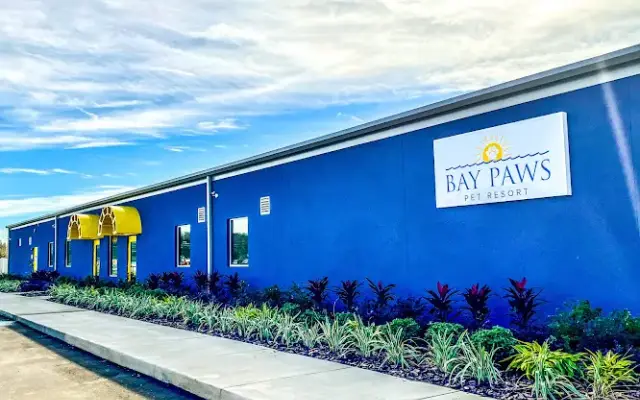 Bay Paws Pet Resort - Wesley Chapel in Wesley Chapel, FL