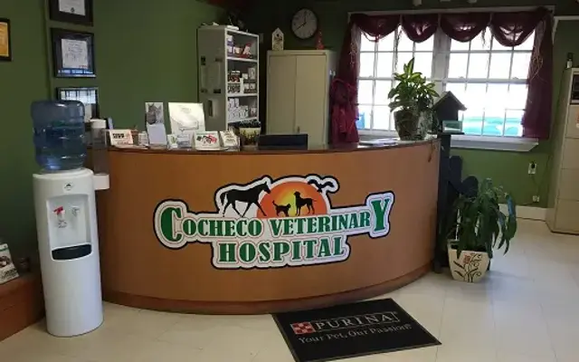 Cocheco Veterinary Hospital in Farmington, NH