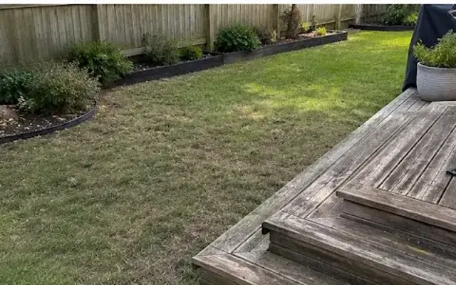 Pine and Paw Yard Cleaning in St Paul, MN