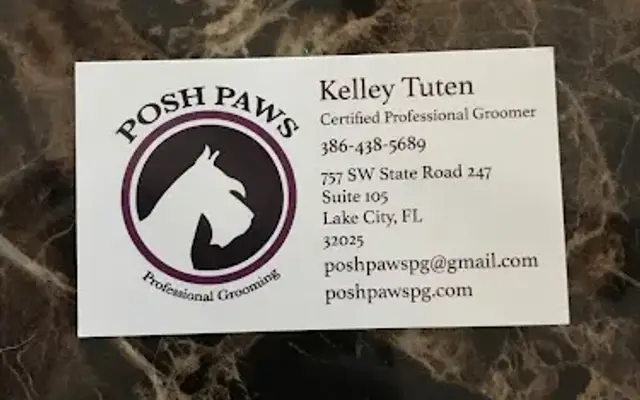 Posh Paws Professional Grooming in Lake City, FL