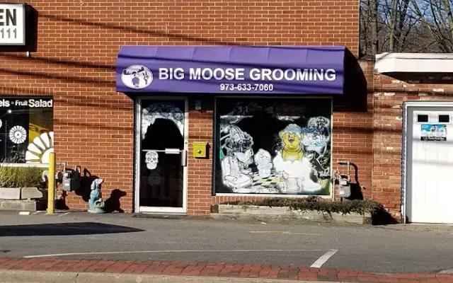 Big Moose Grooming in Pequannock Township, NJ