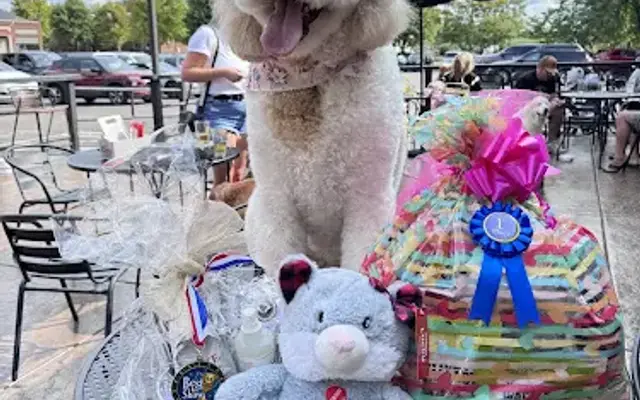 Bubbles and Bows Pet Services of Delano in Delano, MN