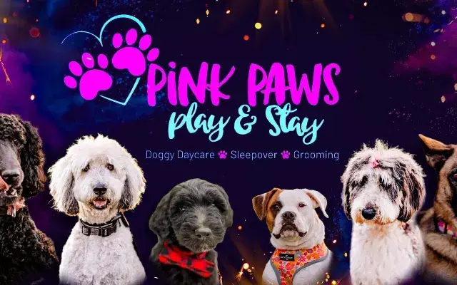 Pink Paws Play and Stay LLC in Boonville, IN