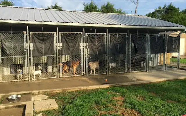 Printed Paws in Heber Springs, AR