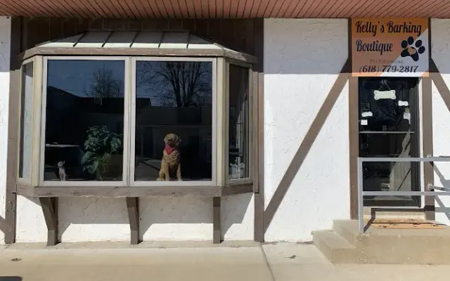 Barking Boutique Pet Grooming in Waterloo, IL