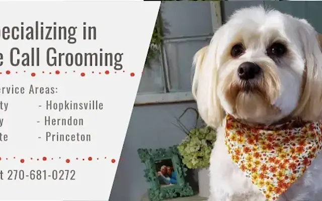 The Soggy Dog- Pet Grooming By Stacey in Hopkinsville, KY