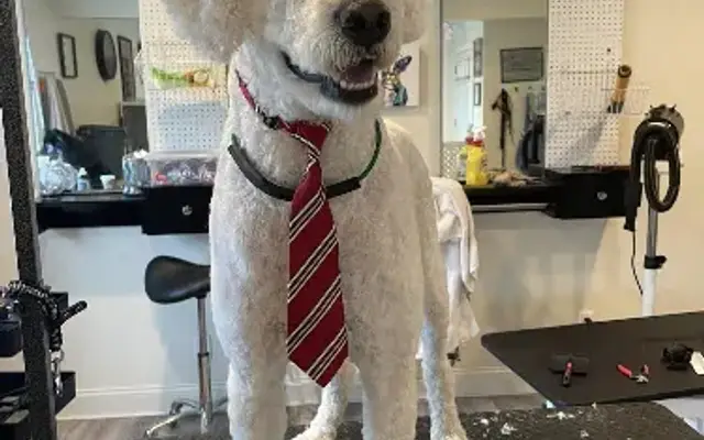 Duffy's Fluffys LLC in Carmel Hamlet, NY