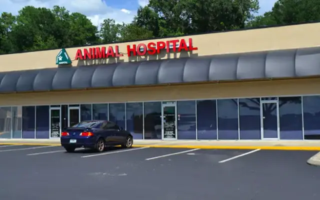 Countryside Animal Hospital in Alachua, FL