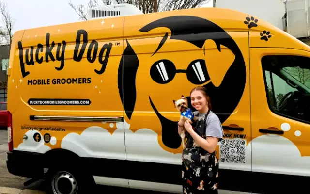 Lucky Dog Mobile Groomers - DMV in Germantown, MD