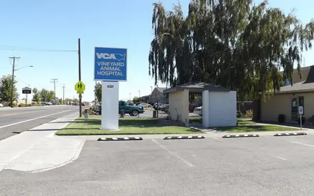 VCA Vineyard Animal Hospital in Kennewick, WA