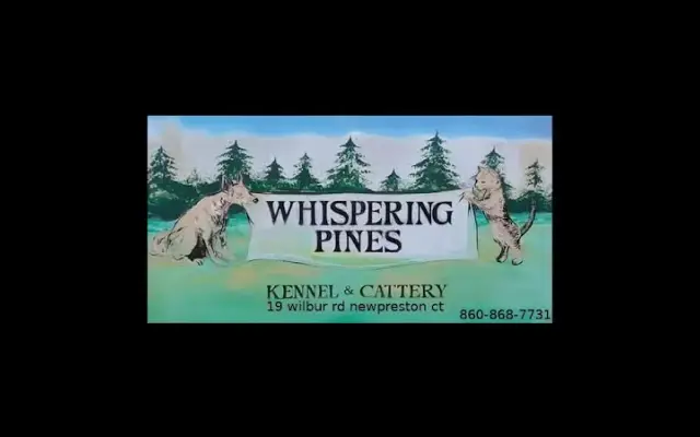Whispering Pines Kennel in New Preston, CT