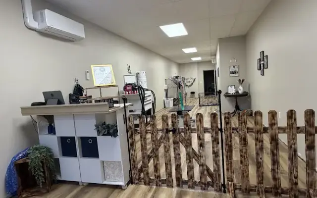 Dapper Dogs Grooming Co. in Lewistown, PA