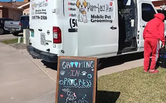 Purr_Fect Paw mobile pet grooming in Albuquerque, NM