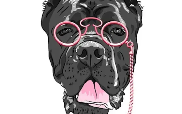 Beautifying the Beast - Grooming and Bathing in New Port Richey, FL