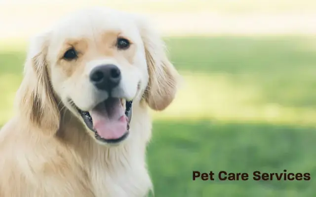 Pet HelpMate in Westlake Village, CA