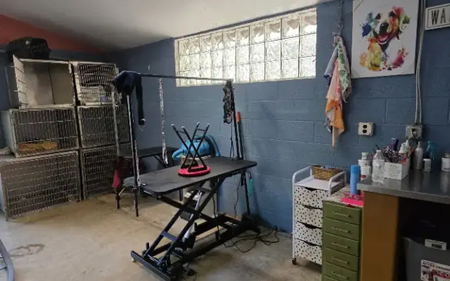 Precious Angels-Grooming, Rescue, & Animal service's. in Maple Heights, OH