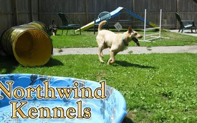 Northwind Kennels in Bedford, NY