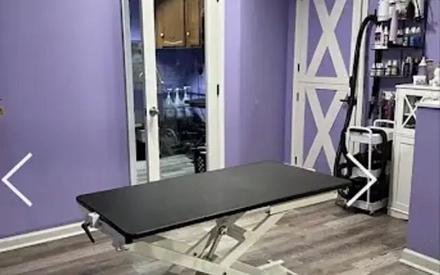 Unleashed Pet Salon and Spa LLC in McDonough, GA