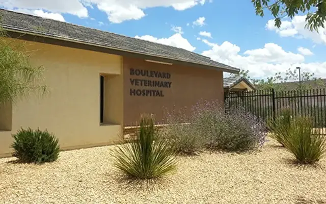 Boulevard Veterinary Hospital in Lancaster, CA