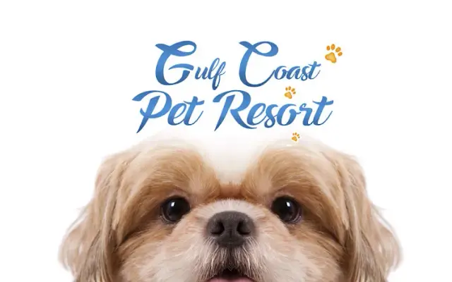 Gulf Coast Pet Resort - Boarding | Grooming | Playcare in Fort Myers, FL