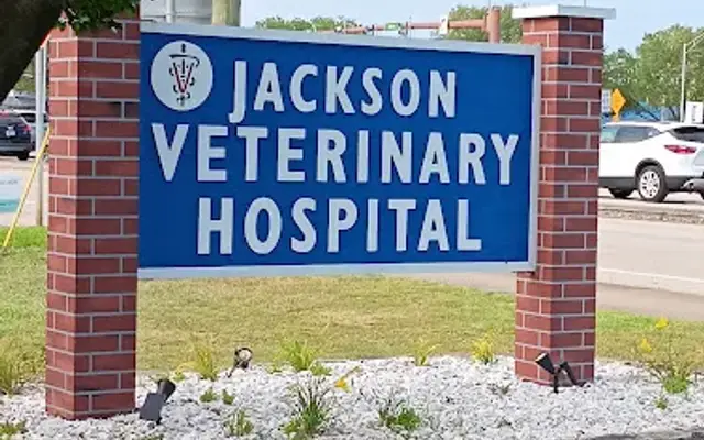 Jackson Veterinary Hospital in St. Augustine, FL