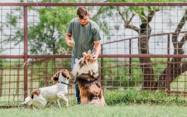 Canine Country Club & Wellness Center in Dallas, TX