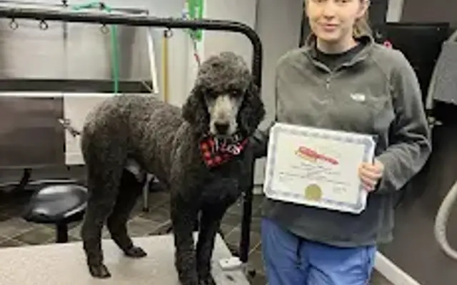 The Rolling Paw Spa in St Clair, PA