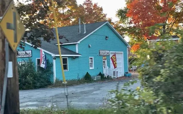 Boston Dog Company in Chelmsford, MA