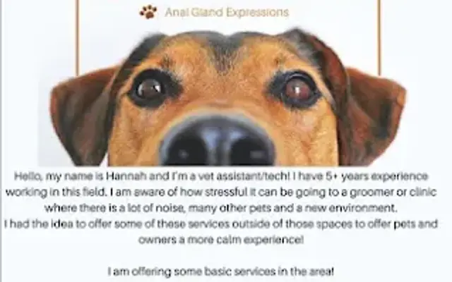 Hannah's Stress Free at Home Pet Spa in Cincinnati, OH
