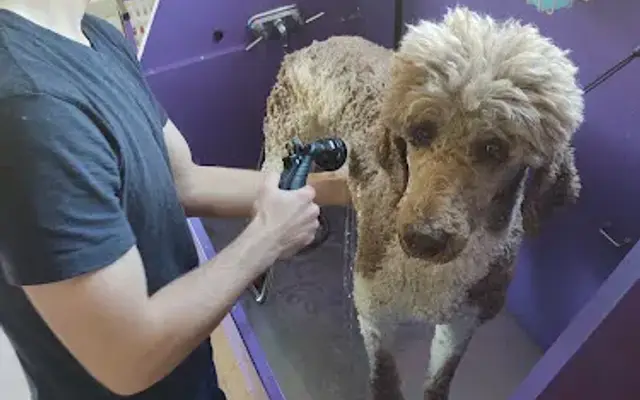 Wooftown Groomers in Cherokee, NC