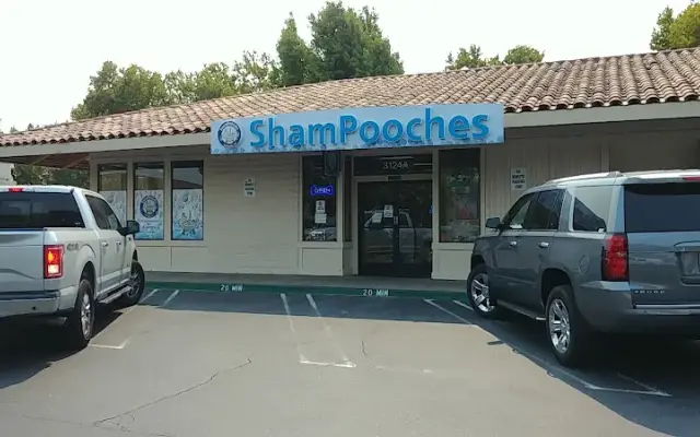 ShamPooches in San Ramon, CA