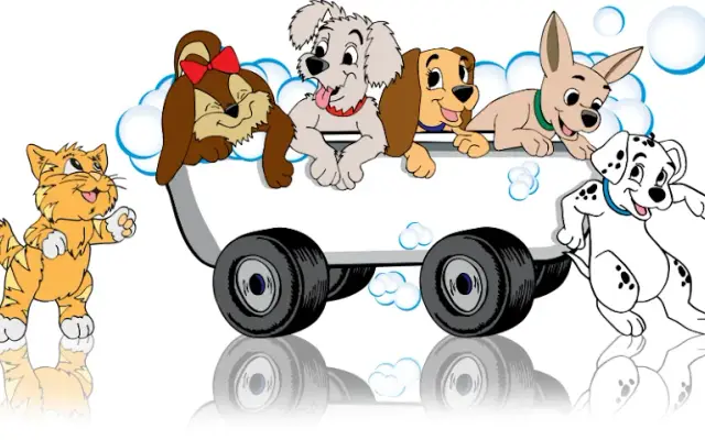 RAD Pet Grooming in Salisbury, NC