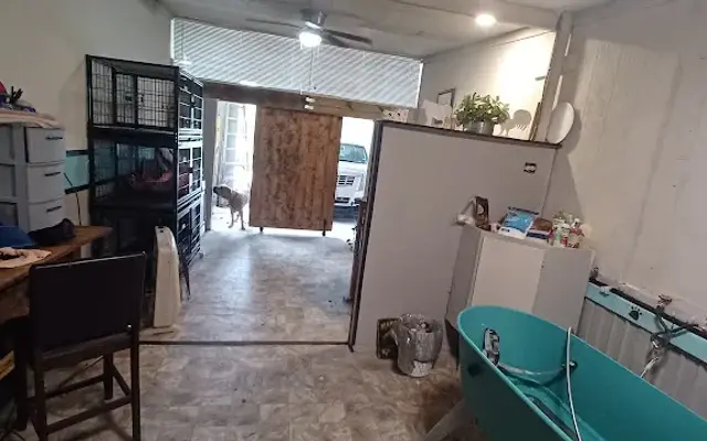K9furwash&daycare in New Caney, TX